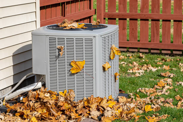 Air Duct Cleaning in Winter Garden, FL